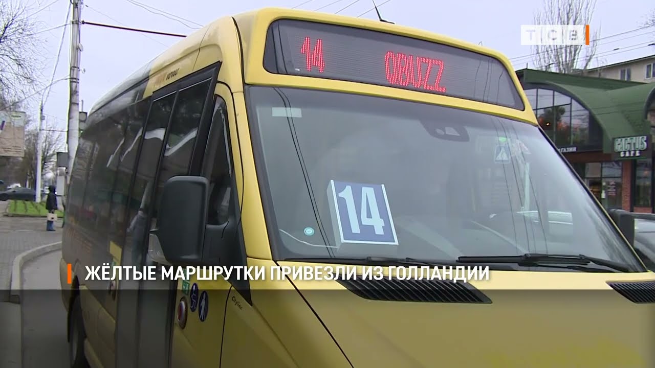 Жёлтые маршрутки привезли из Голландии