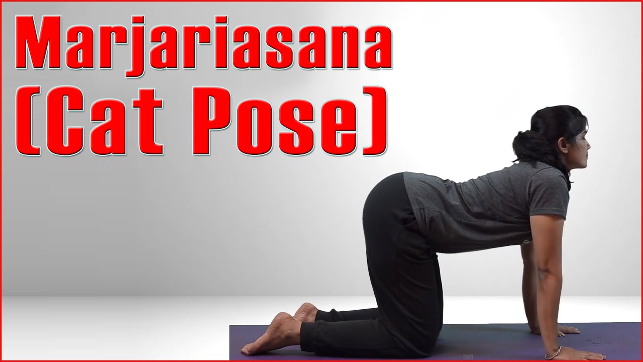 Ashtanga Yoga: Marjariasana (Cat Pose) & Its Benefits