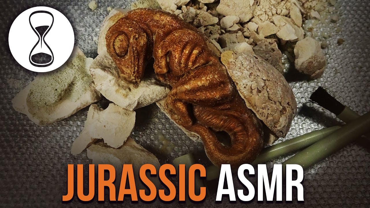 JURASSIC ASMR – Ролевая игра «Шепот ученого» – ЗВЕЗДЫ ОТ РАСКОПОК!