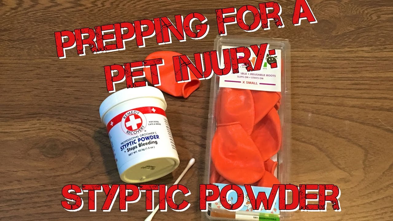 Styptic Powder : Prepping for a Pet Injury : How to Stop the Bleeding
