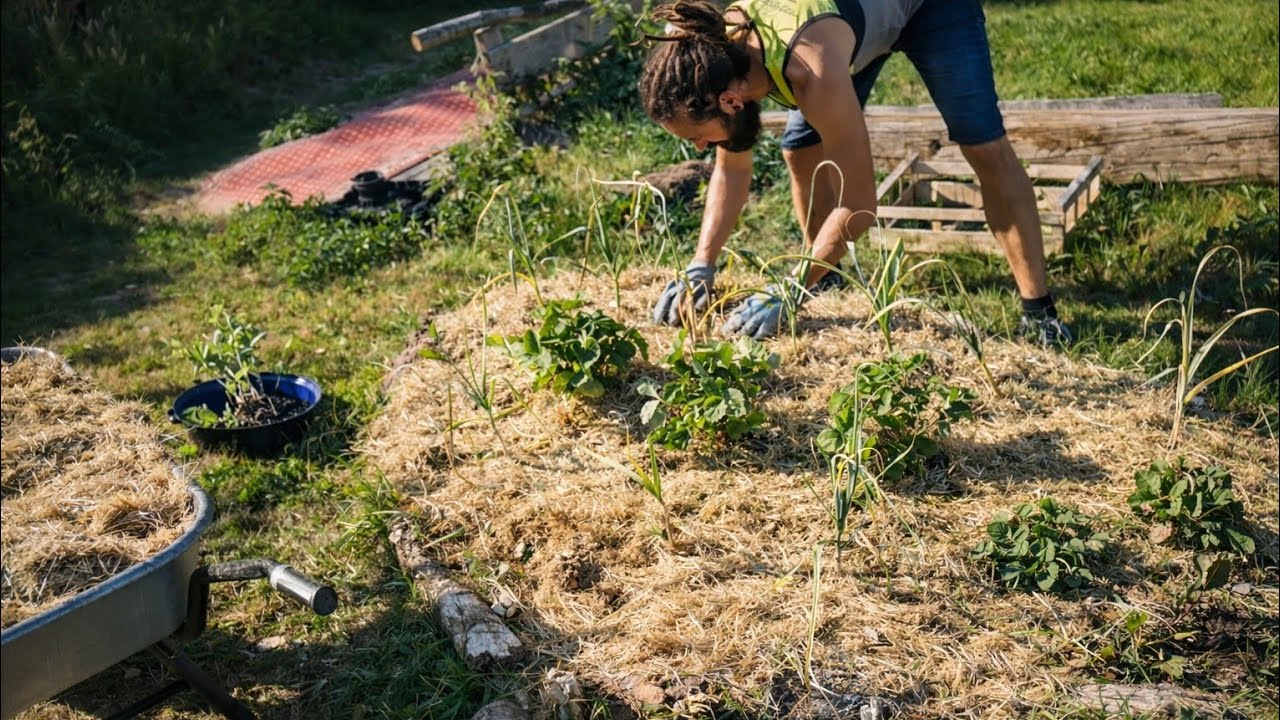 Schöpferkraft Classics - Folgen 41 - 50 | (1. Gartenjahr - 2018)