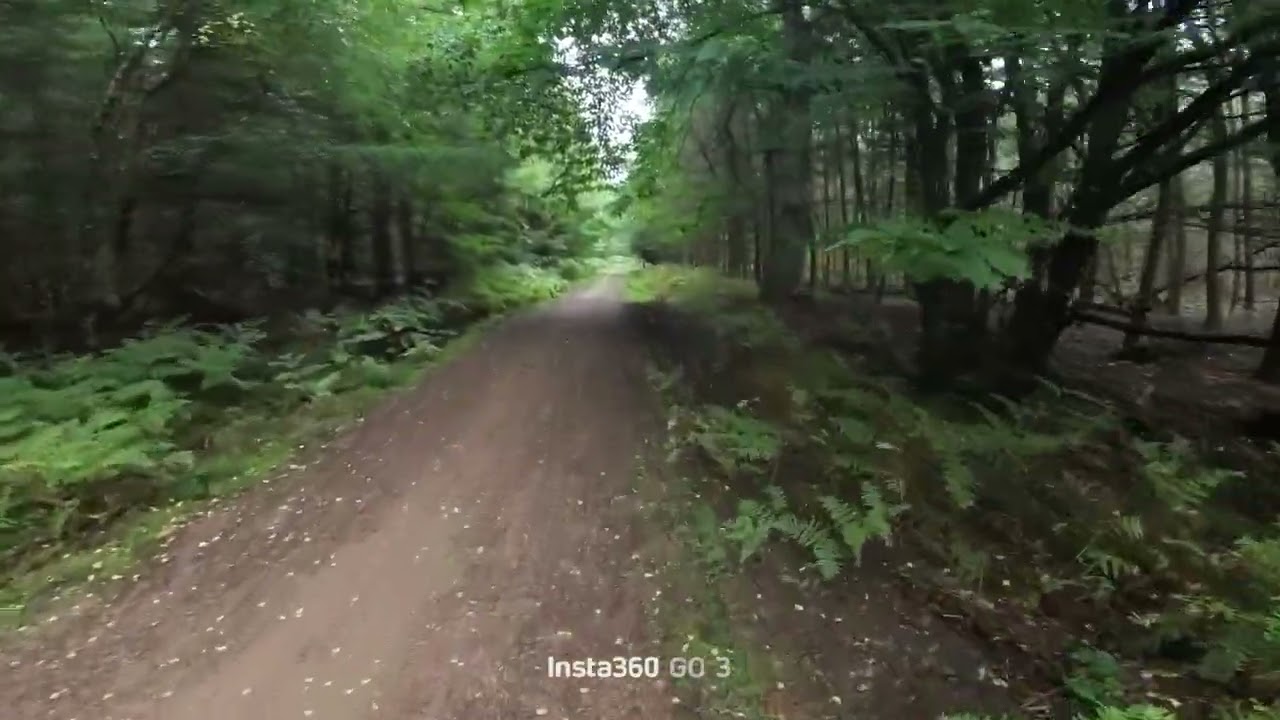 Trail Run. The Children's Society 