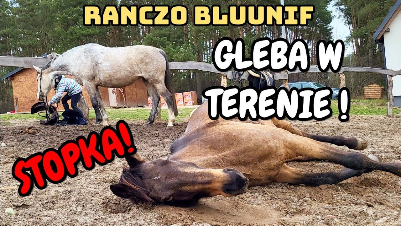 SZALONY TEREN / KONIE STOP - ZUZIA BAM!