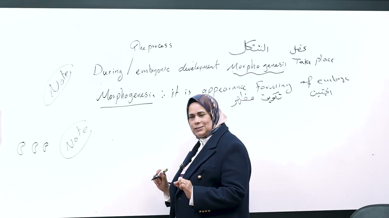 المحاضرة الثالثة من embryonic 