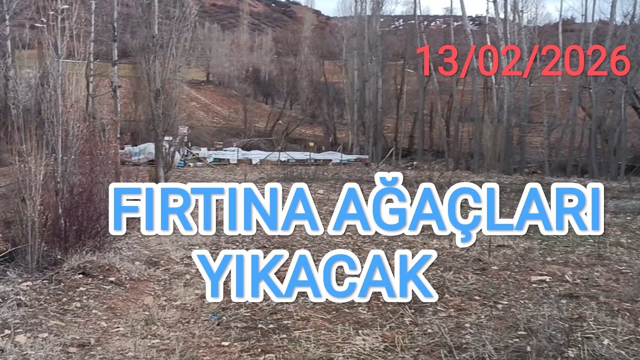 ARILIK İÇİN SOLAR KAMERA ÖNERİSİ OLAN?