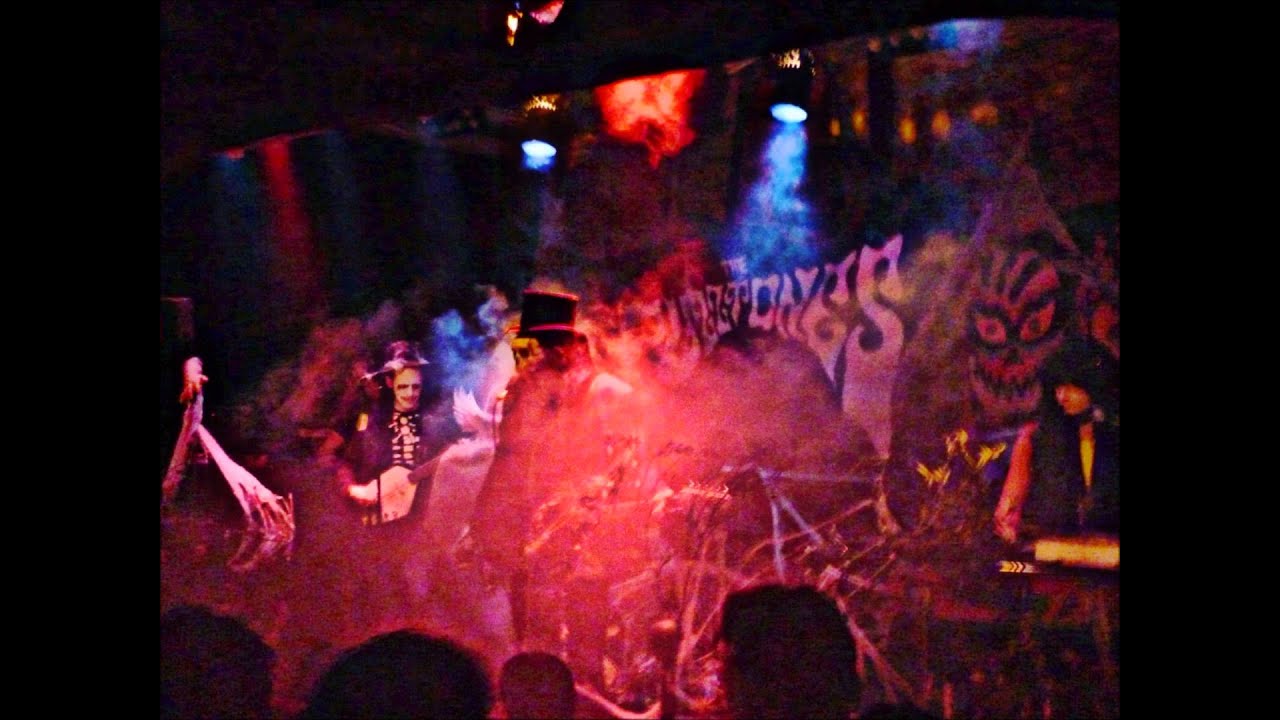 The Fuzztones-Ghost Clinic