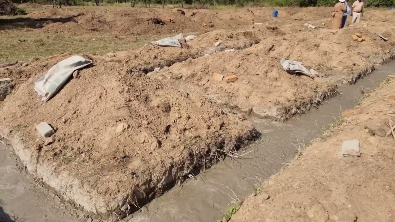 Piggery project in Chegutu Zimbabwe.