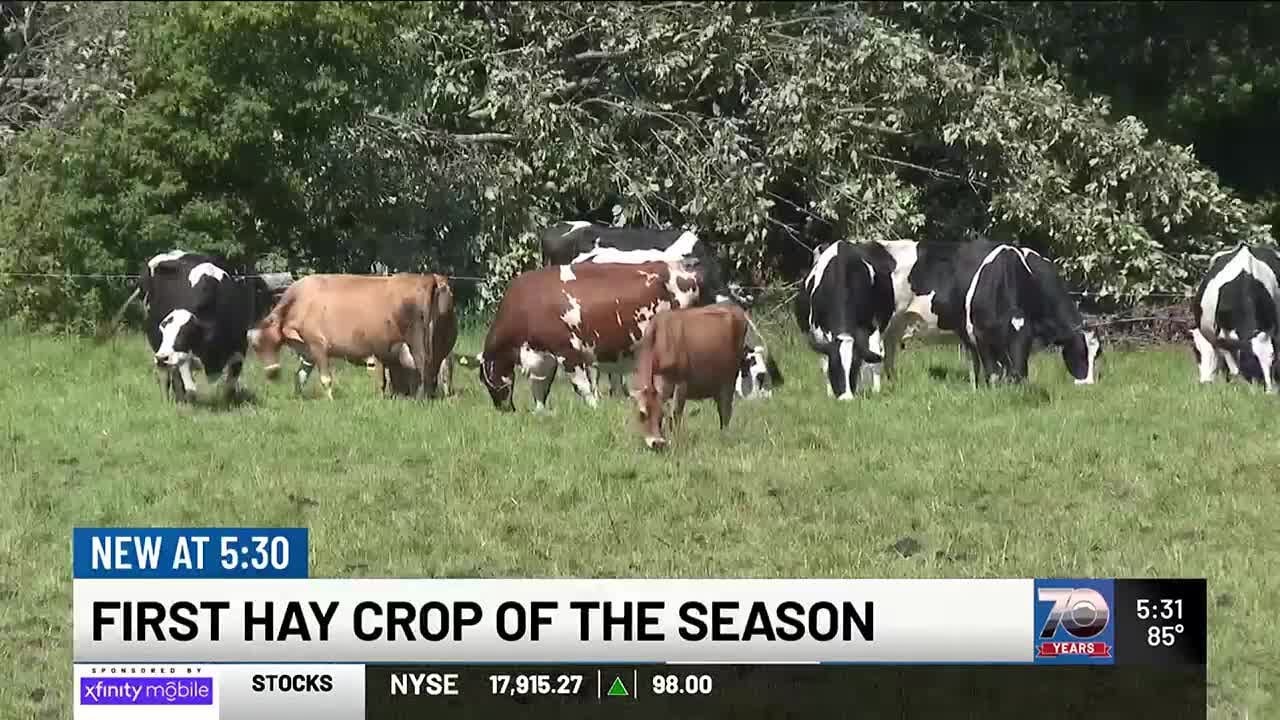 Vermont farmers see strong start to hay harvesting