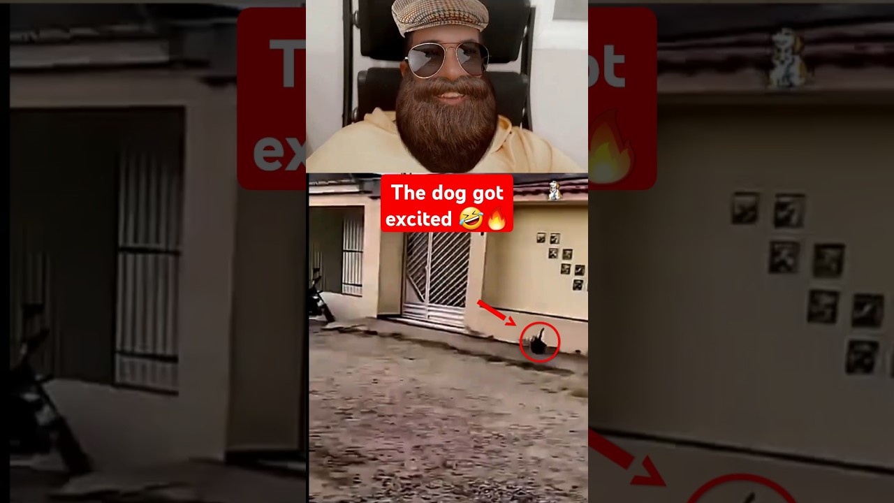 🤣🔥الكلب تحمس  🤣🤣🔥#funny #arabreaction