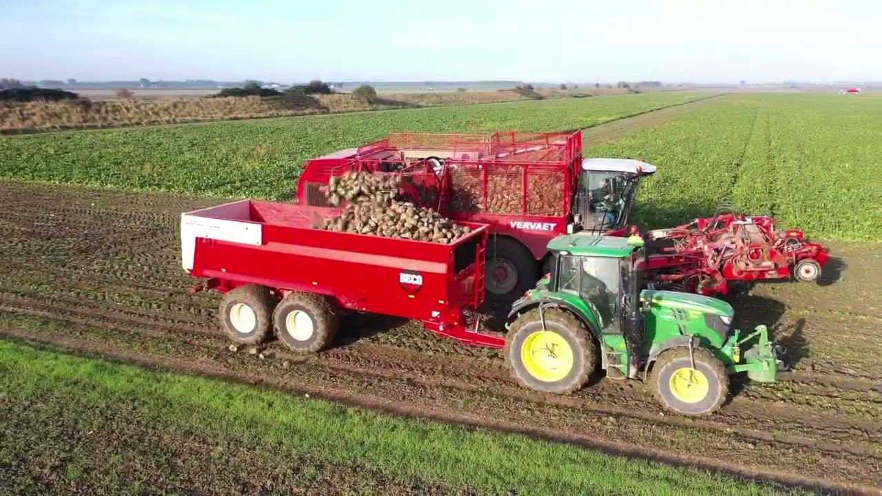Suikerbieten rooien met de nieuwe Vervaet Beet Eater 625 EVO van loonbedrijf van den Dries