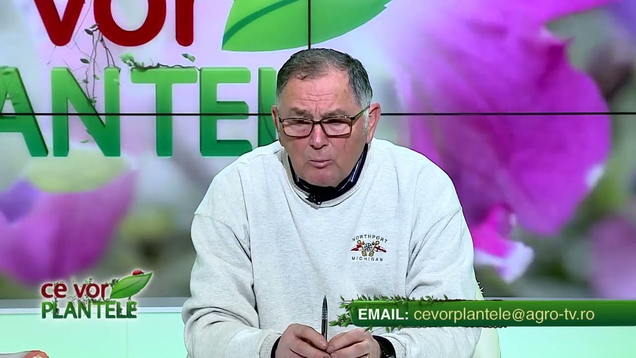 De ce nu face cireșul fructe?