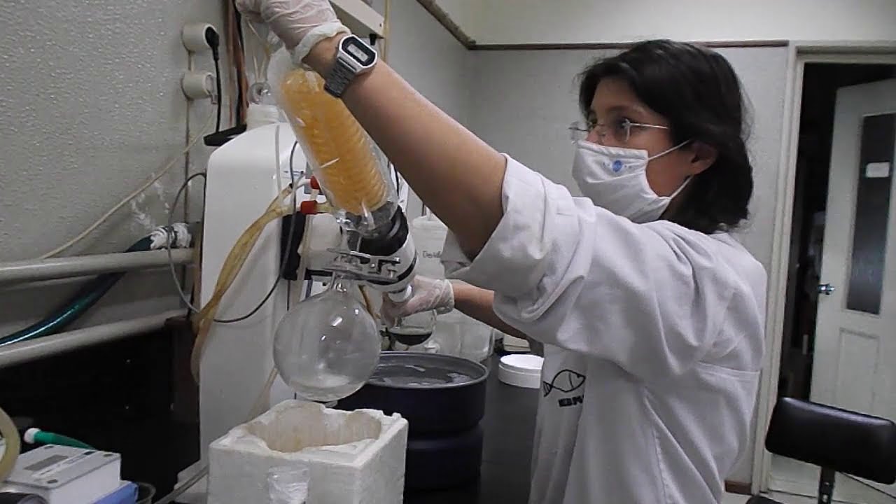Carrageenan Extraction