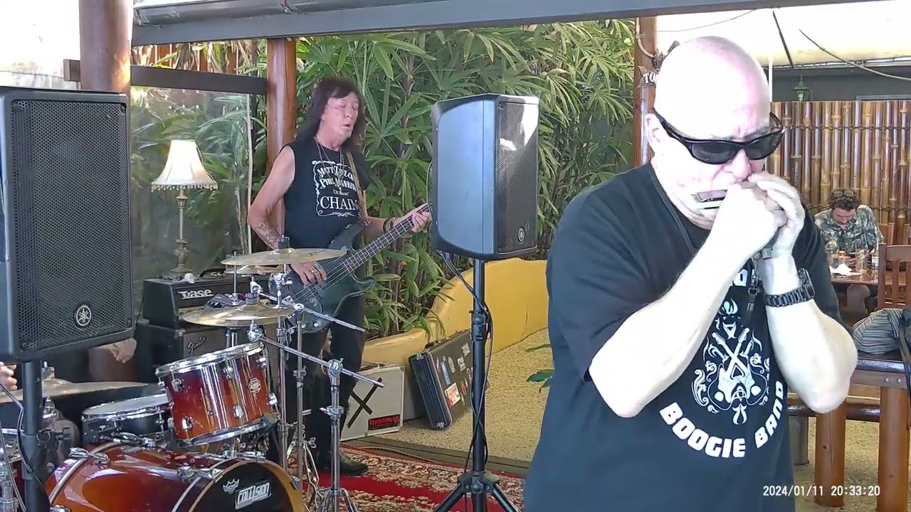 'True north boogie band' at  Holloways 'Strait on the beach with 'Need your love so bad'.