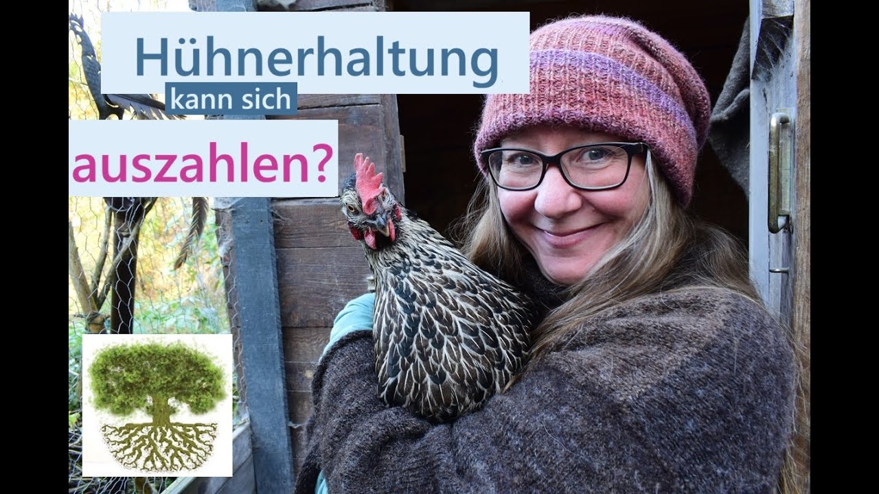 5 Tricks und Futter: Kann sich Hühnerhaltung auszahlen? So freuen sich Hühner und Mensch