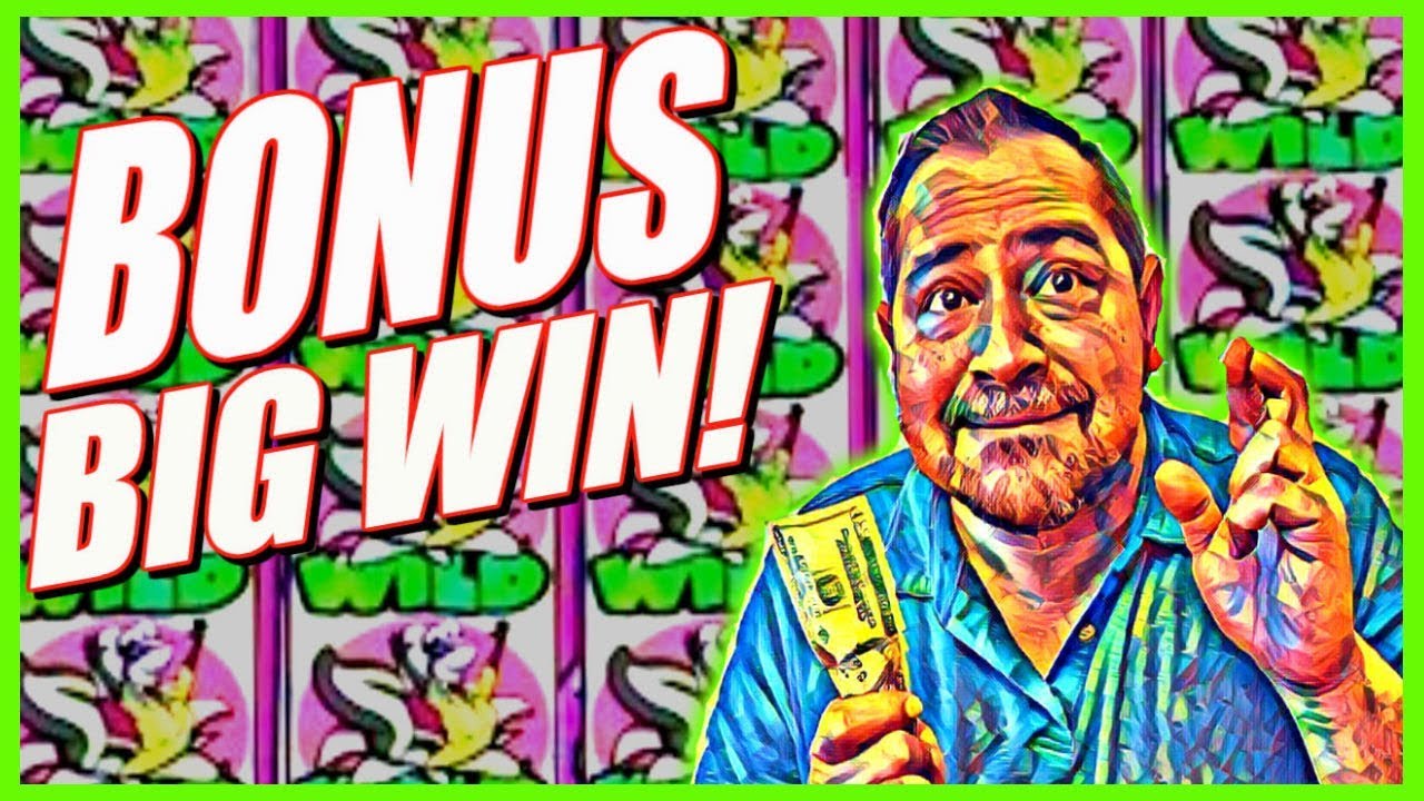 😂 RARE BACK TO BACK BONUS! 😭 Stinkin' Rich Slot Machine! 😍 👉 Slot Traveler
