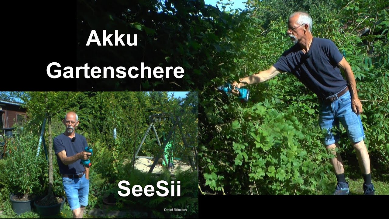 Akku Gartenschere Arbeitserleichterung und Gelenke schonen von SeeSii CS 300 Mein erstes Fazit.