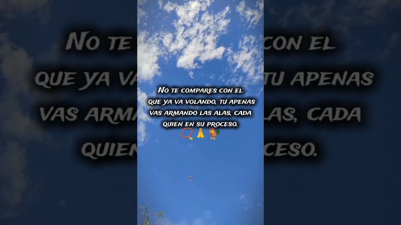 las alas 🪽 se van forjando con el tiempo 