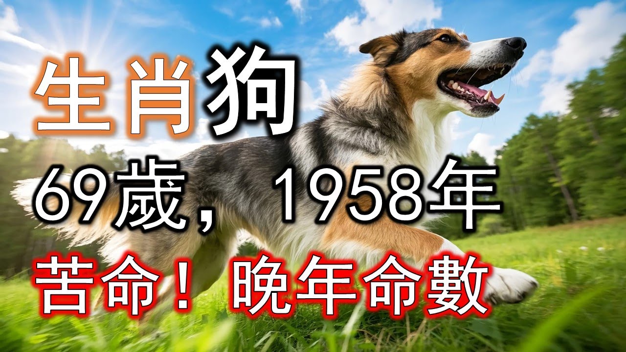 1958年屬狗人，2026年苦命！晚年命數