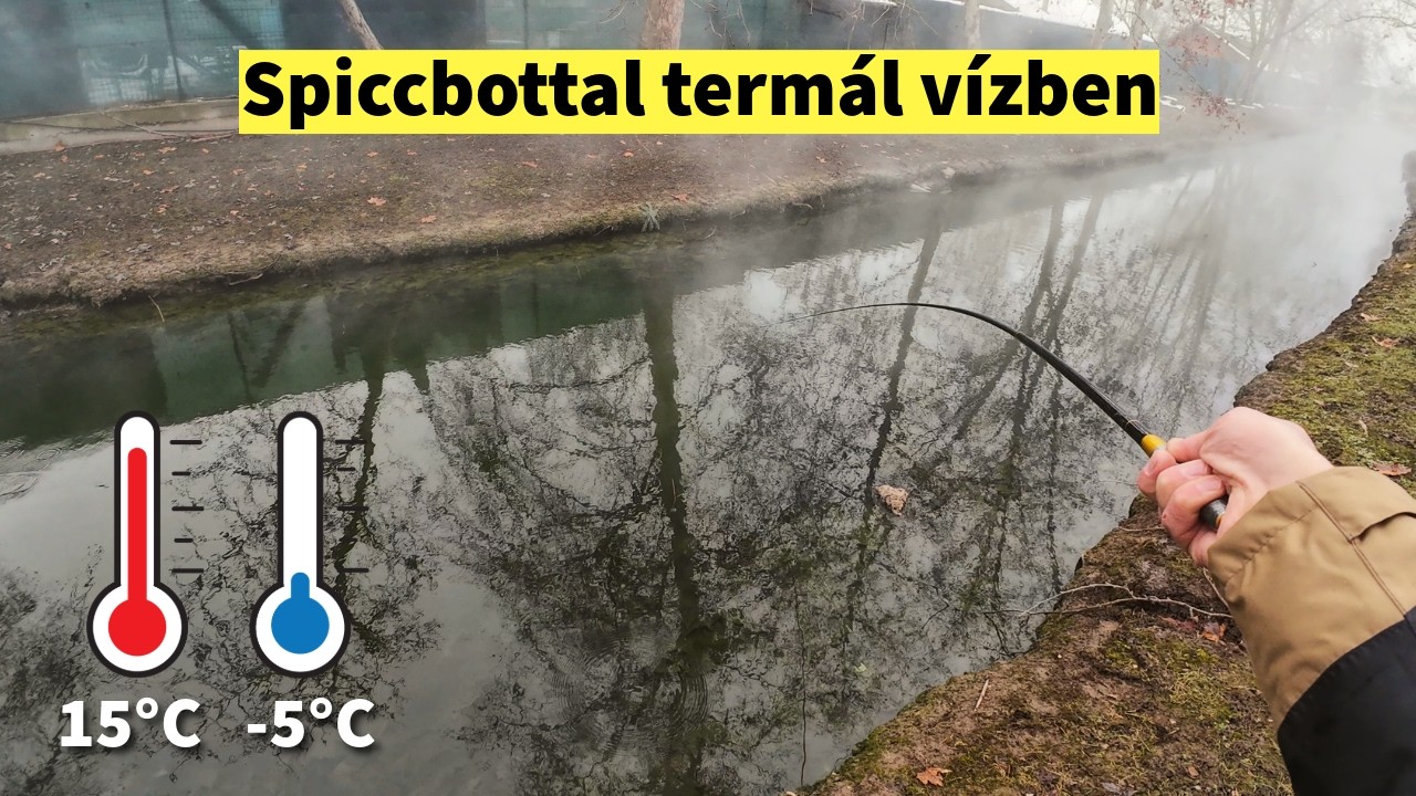 Spiccbotos téli kárász peca egy termál vizes csatiban