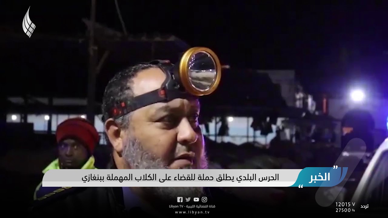 الحرس البلدي يطلق حملة للقضاء على الكلاب المهملة ببنغازي