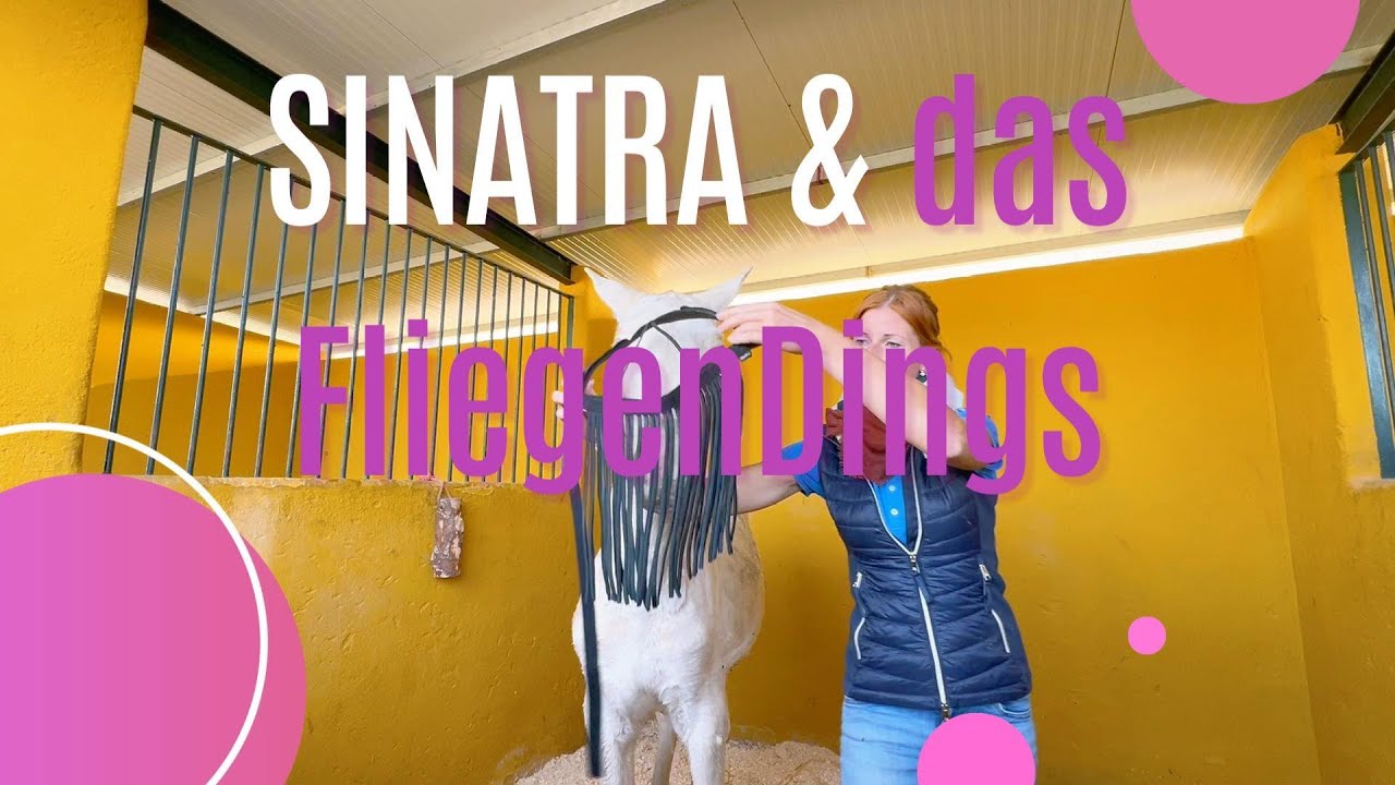 Sinatra und das FliegenDings