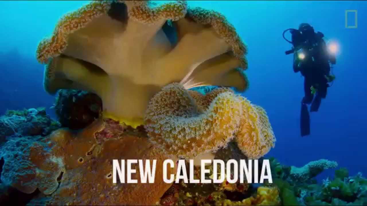 Pristine Seas: Journey to the Ocean's Last Wild Places