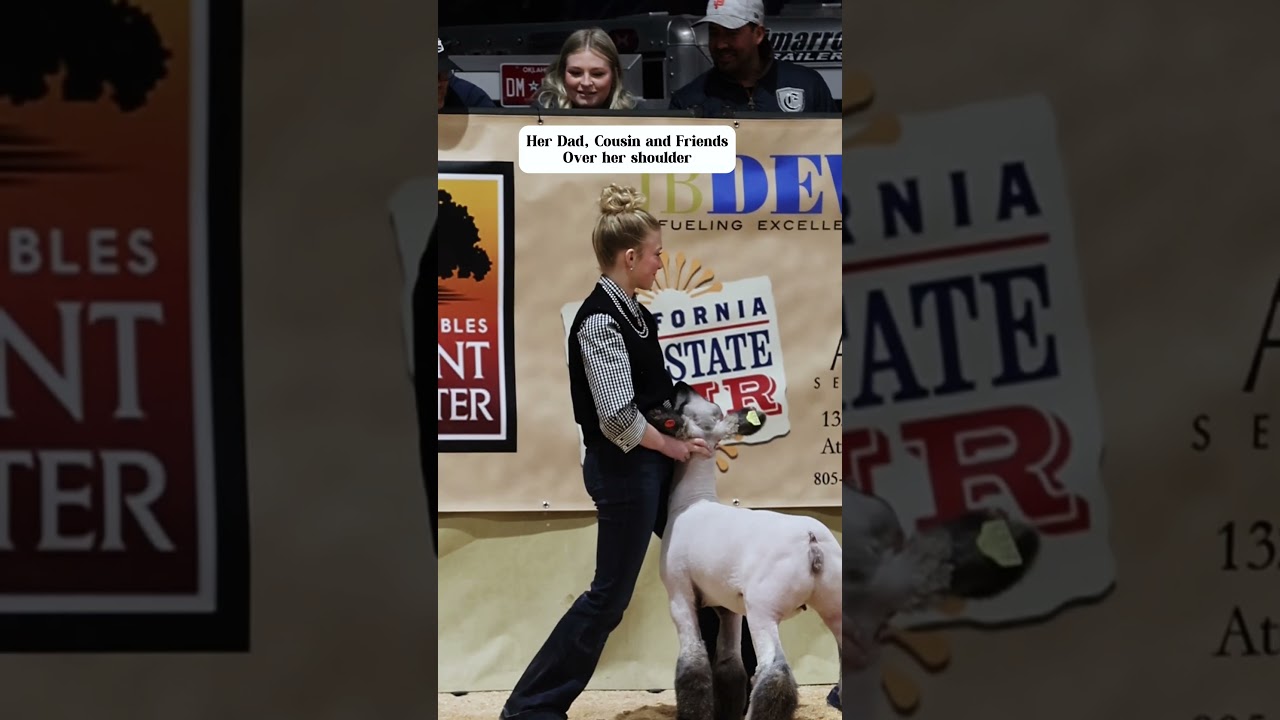 Karis had a peanut gallery at Western Bonanza while she was showing her ewe! #showsheep #sheep