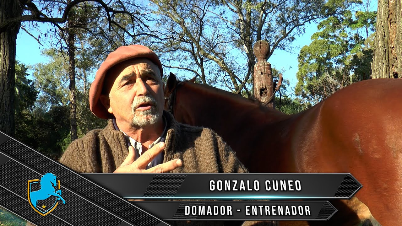 Caballos Argentinos TV - Gonzalo Cuneo - La reserva - Caballos Criollos