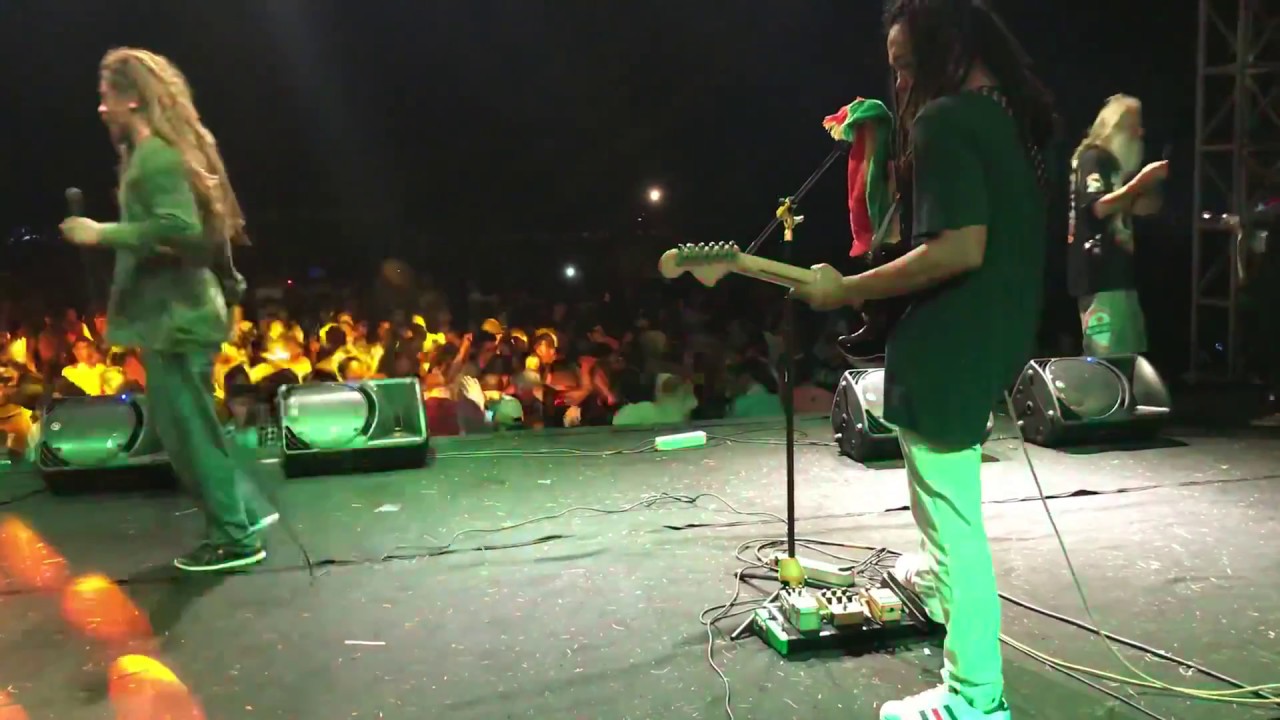 BACK TO REGGAE | Concrete Jungle. (Cover) Feat Kiki uprising and Musblues