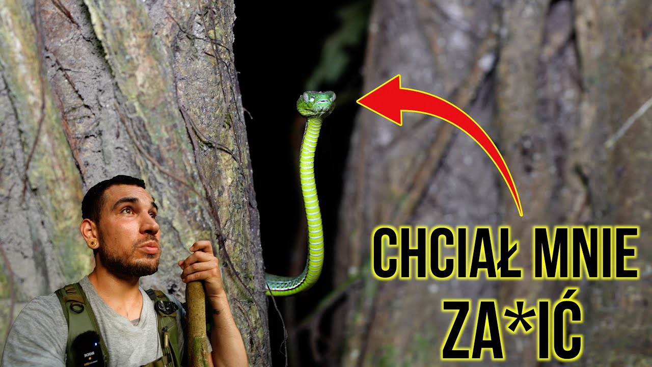 MÓJ NAJBARDZIEJ NIEBEZPIECZNY TREKKING  ☠️😱☠️ 🇻🇳