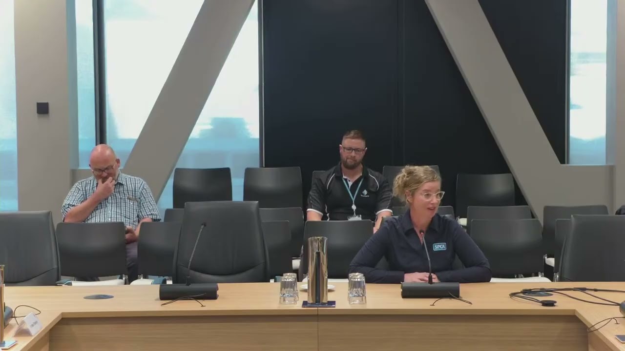 Council 3 March 2026