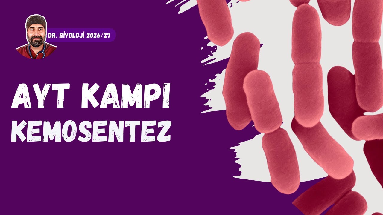 Kemosentez | Dr. Biyoloji | AYT Dönem 2026 - 2027