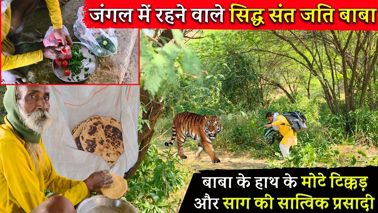 जंगल में रहने वाले सिद्ध संत जति बाबा के हाथ के मोटे टिक्कड़ और साग की सात्विक प्रसादी  @BrajVihar