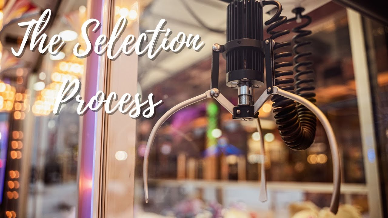 The Selection Process