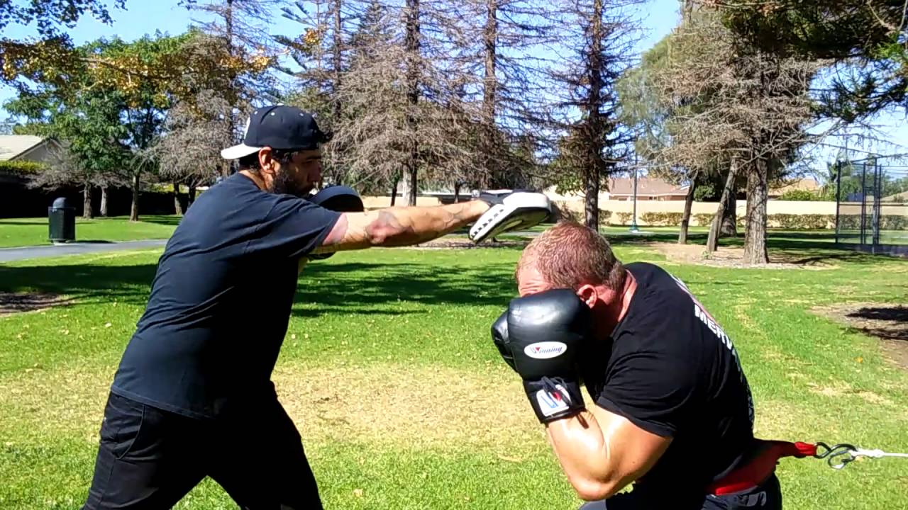 EXERGENIE boxing Dbl Jab Slip  