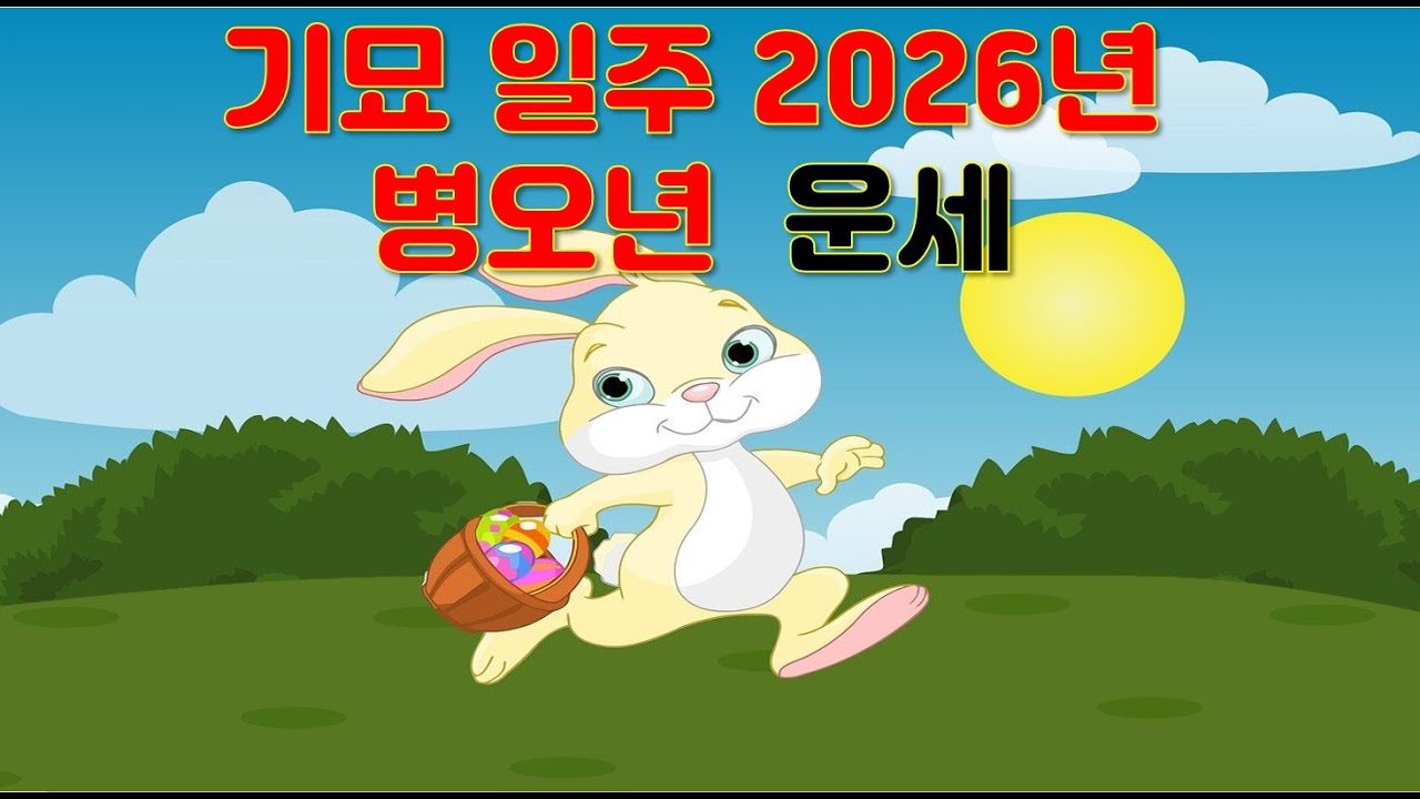 기묘일주, 2026년 병오년 운세 사주분석