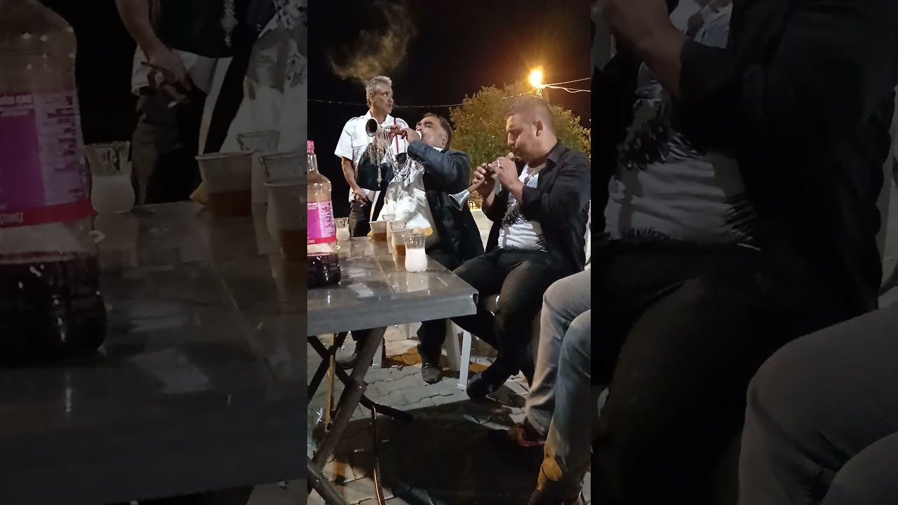 Varol Hayri ağa varol