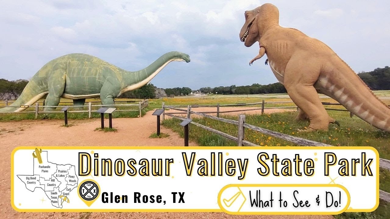 Dinosaur Valley State Park | What to See & Do at Dinosaur Valley State Park in Glen Rose, TX