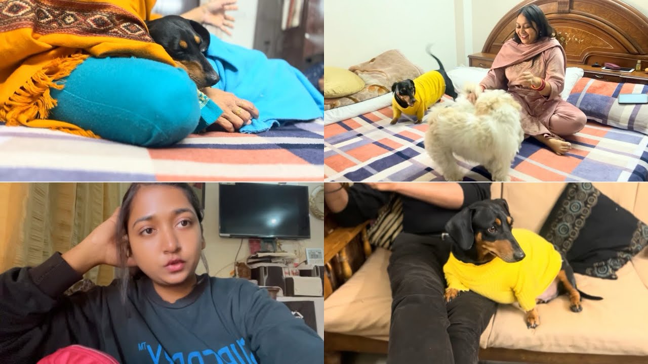 ✨ A Day at My Nani’s House | Family Vlog