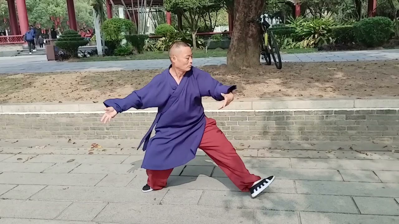 Energetic Tai Chi Master in Foshan | Morning Practice. Part 1