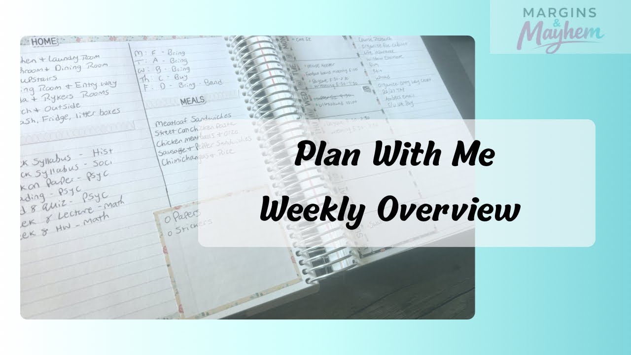 Plan With Me | Erin Condren | Daily Duo | Weekly Overview 