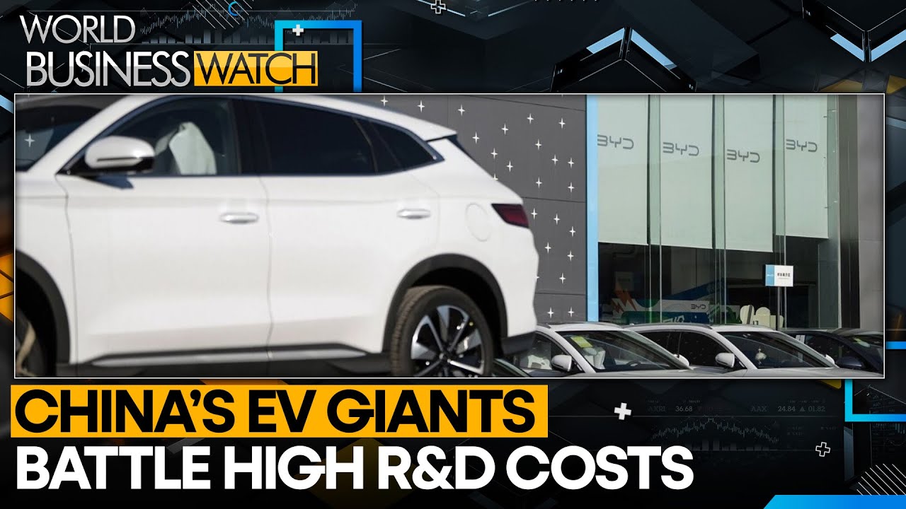 China's EV industry faces global expansion hurdles | World Business Watch