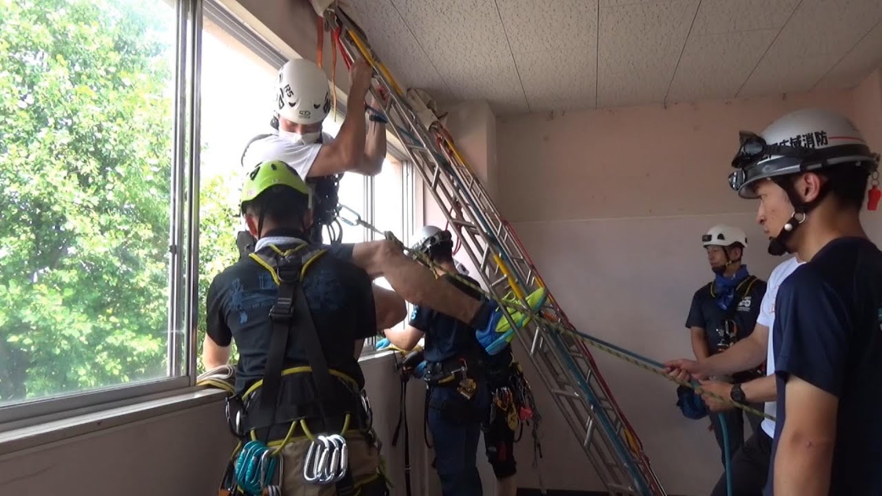 ラダーレスキュー　インテリアリーニングラダー Interior Leaning Ladder