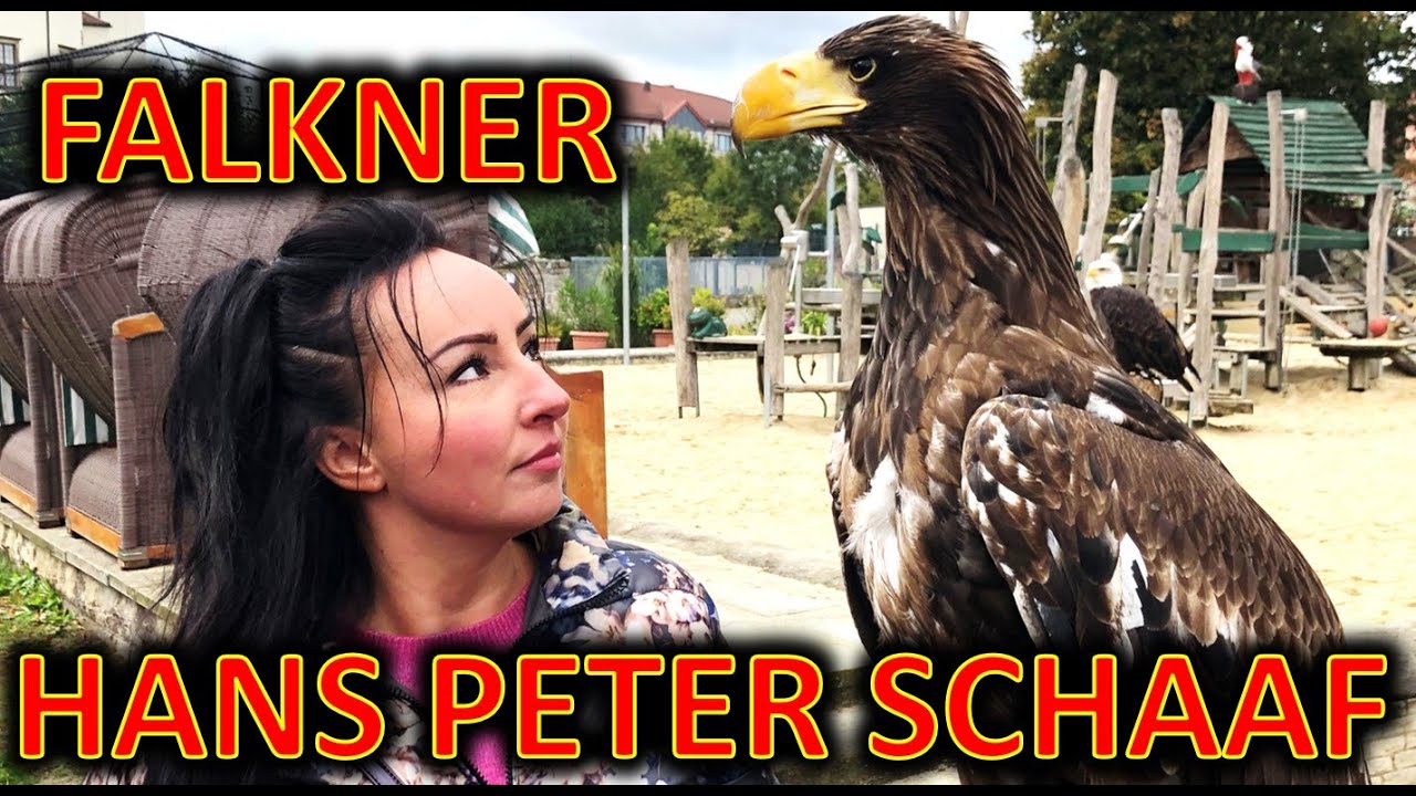 Falkner Hans Peter Schaaf