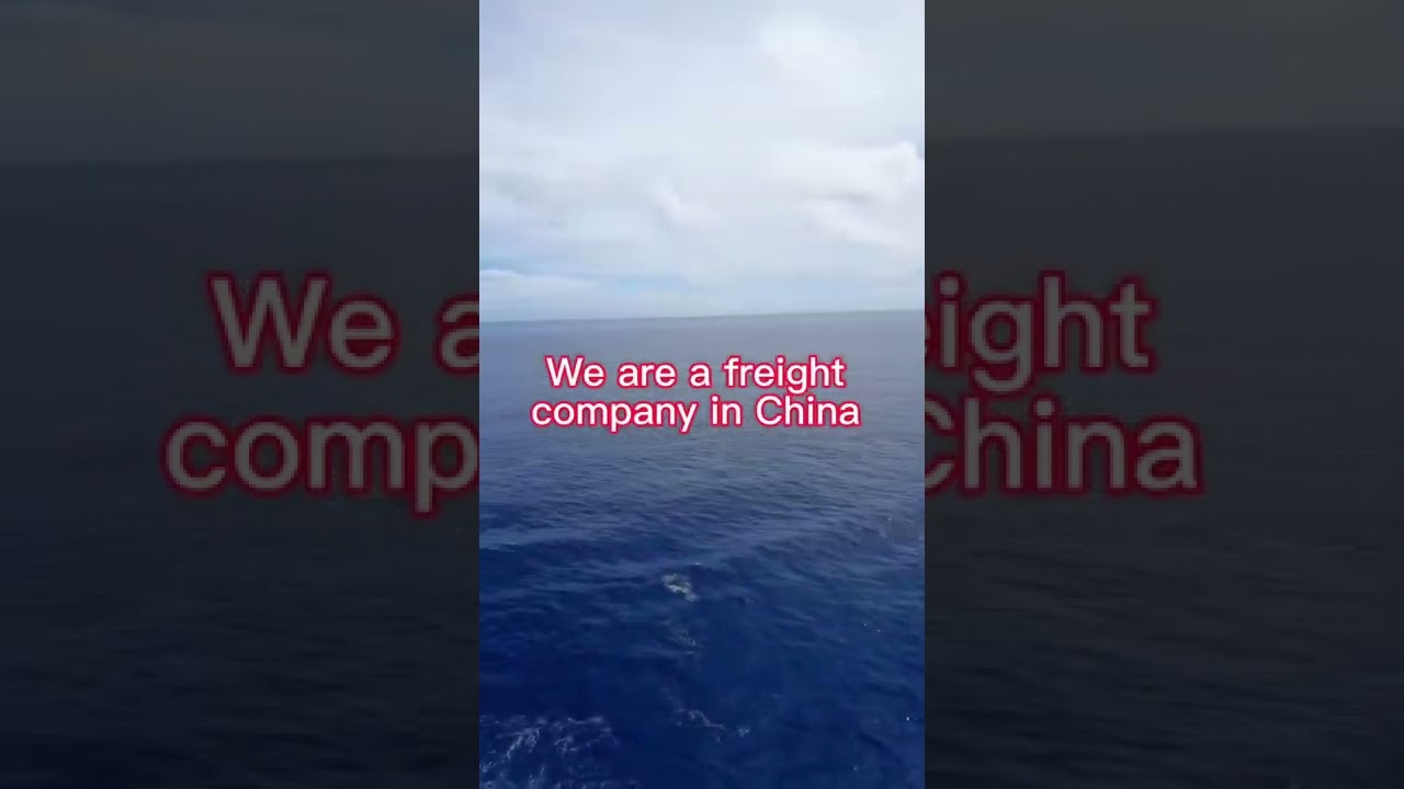 we are a shipping forward,if you need to shipping,pls contact me #container #logistics #shipping