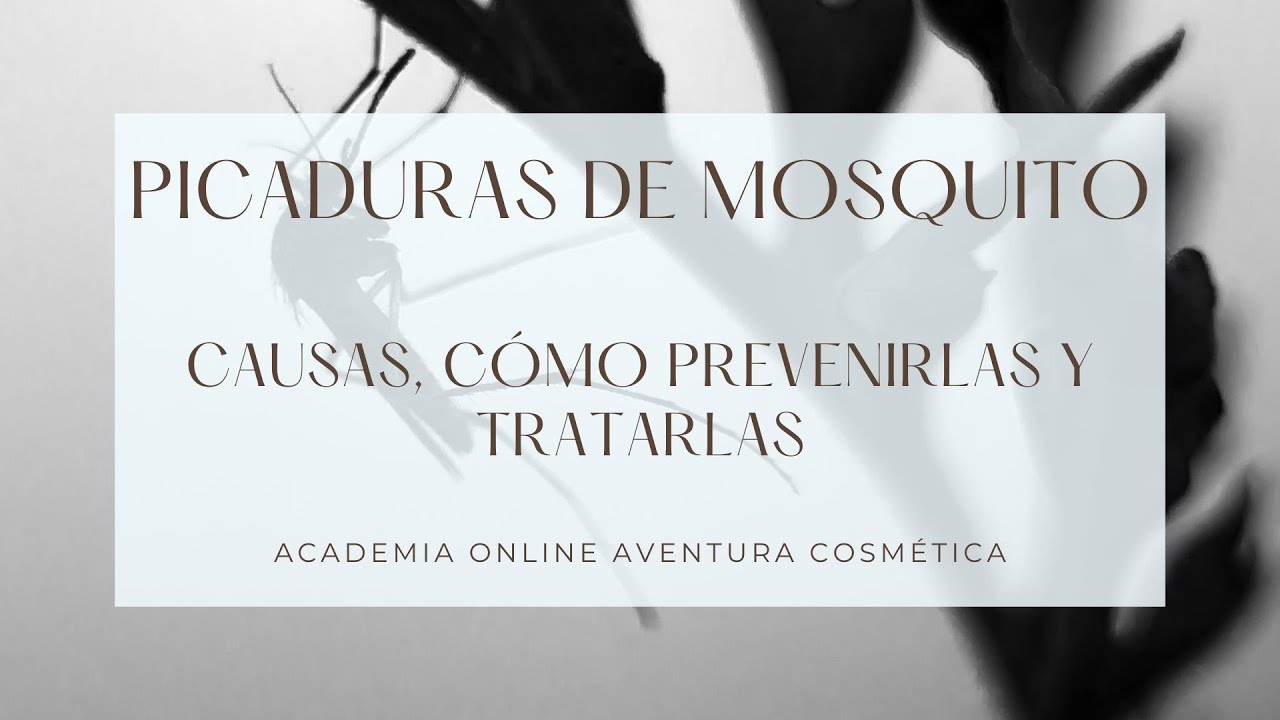 Cómo prevenir las picaduras de mosquitos