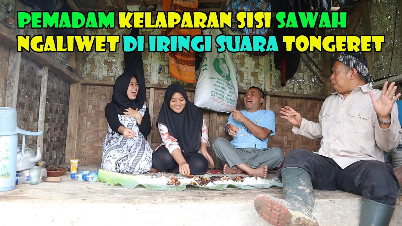 Pemadam Kelaparan Edisi Sisi Sawah Bersama Mang Ajoy  Jalan Jalan, Di Iringi Suara Tongeret..