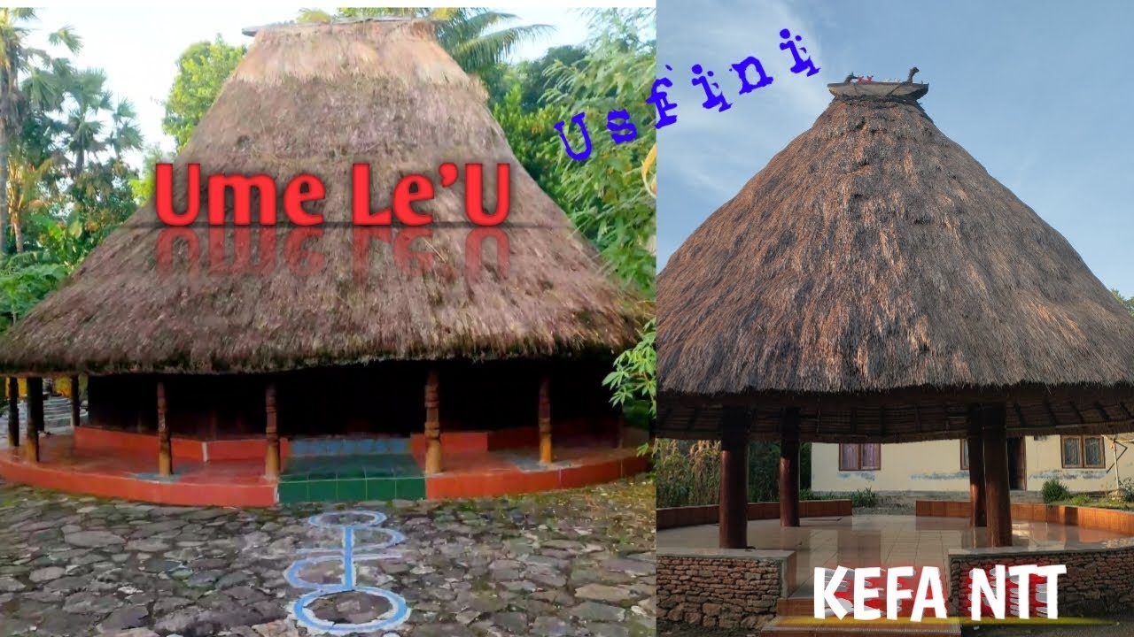 Rumah Adat Usfini || Ume Le'U || Kefa Menanu || TTU NTT