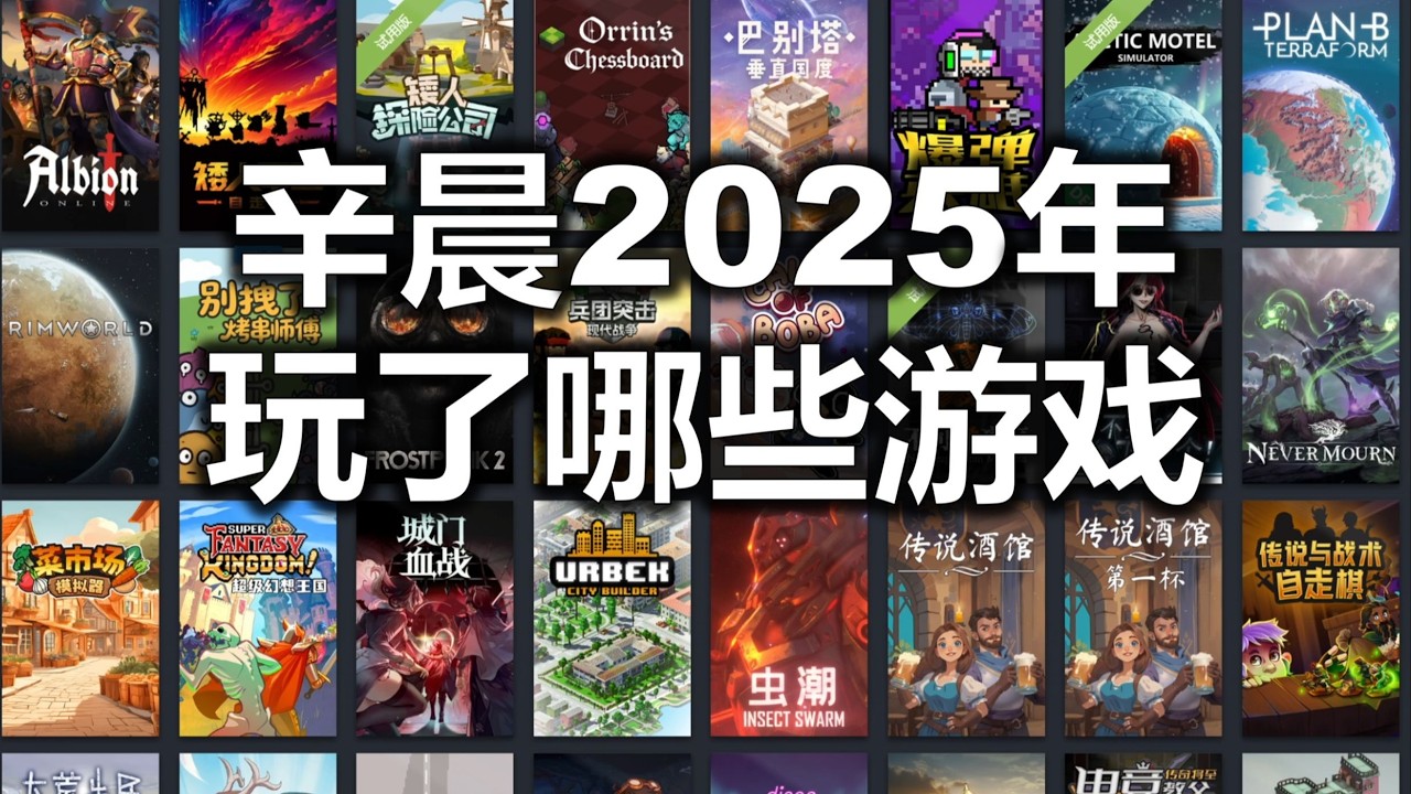 辛晨2025年开坑游戏总览！