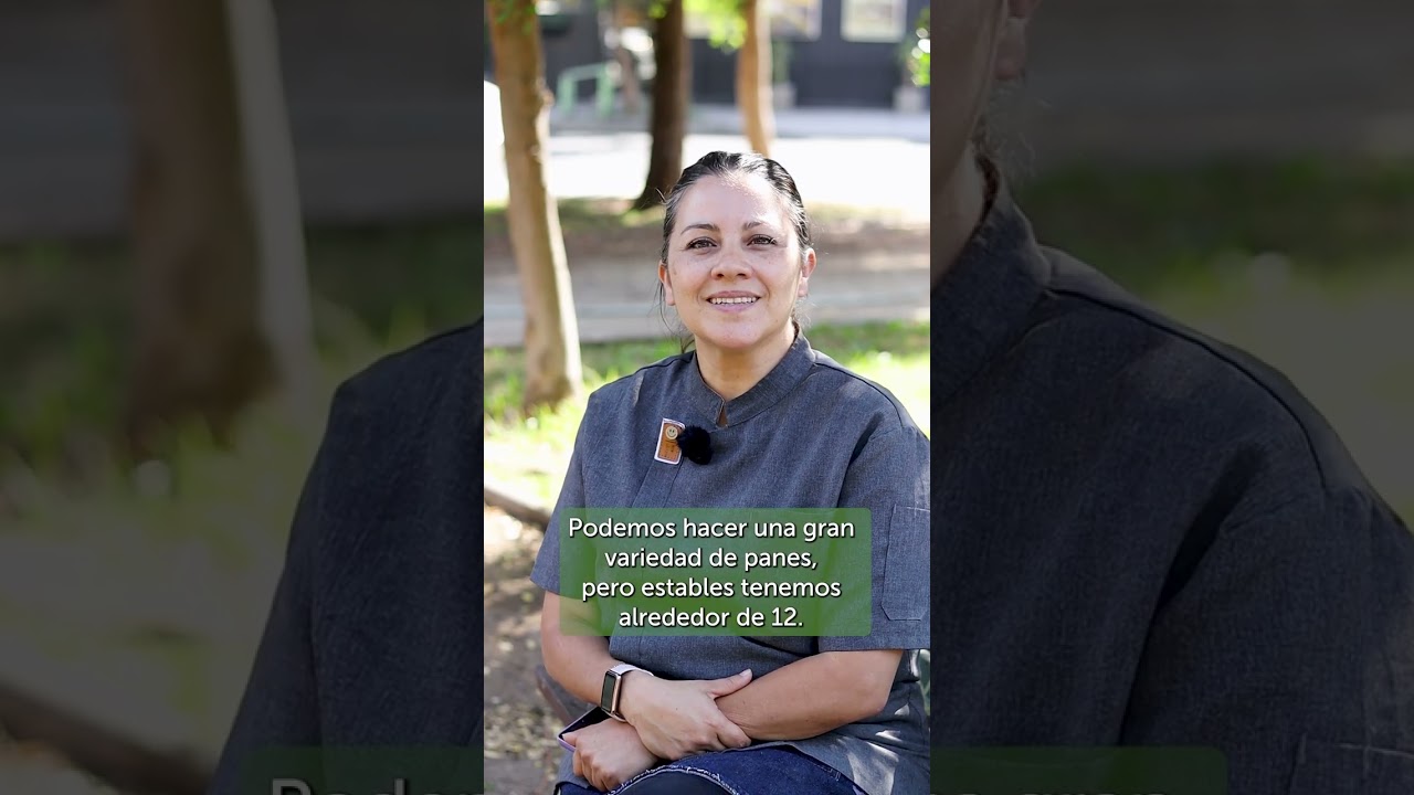 pan artesanal europeo en Talagante  El Mobil Gourmet